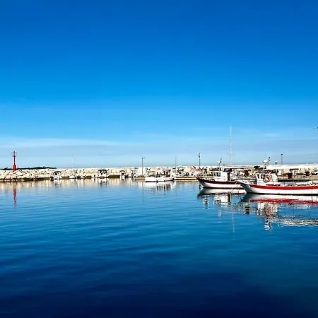Poolside Apartment Fažana